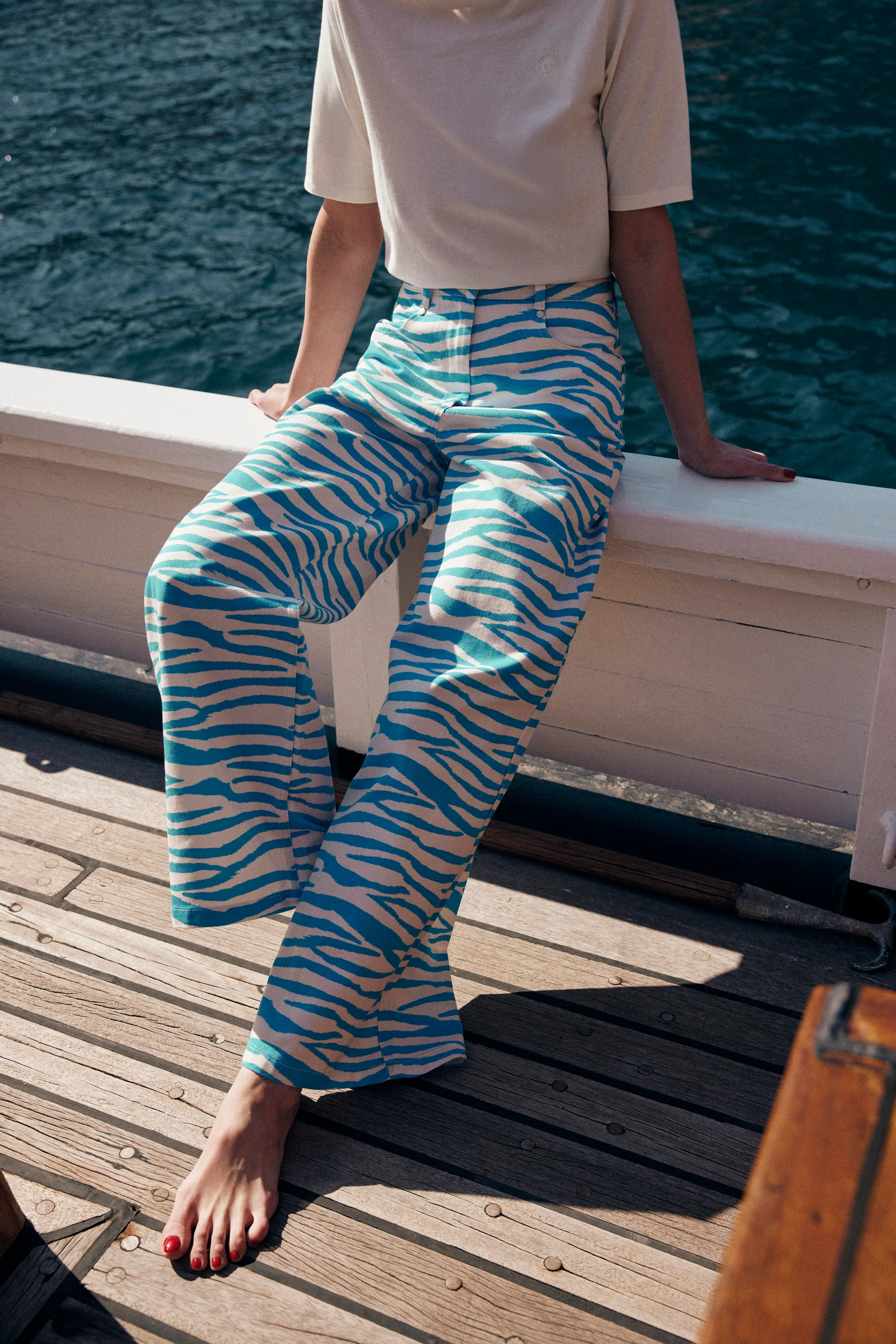 JEAN MARCO ZEBRA - Image 3