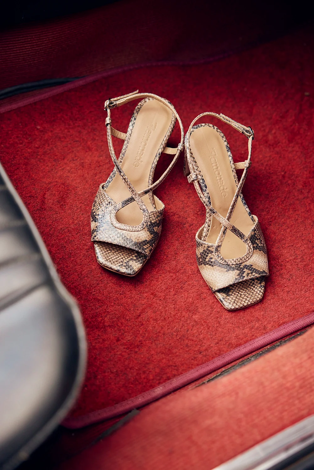 SANDALES STELLA PYTHON BEIGE - Image 5